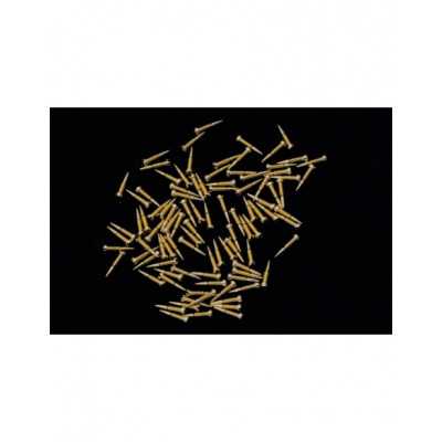 GOLD HINGE ALIGNMENT SCEWS... 2