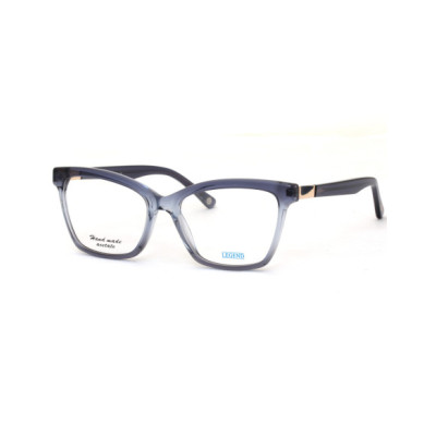 LEGEND EYEWEAR [54_17_142_41] 2